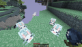 Aerbunnies following a player with blue berries.